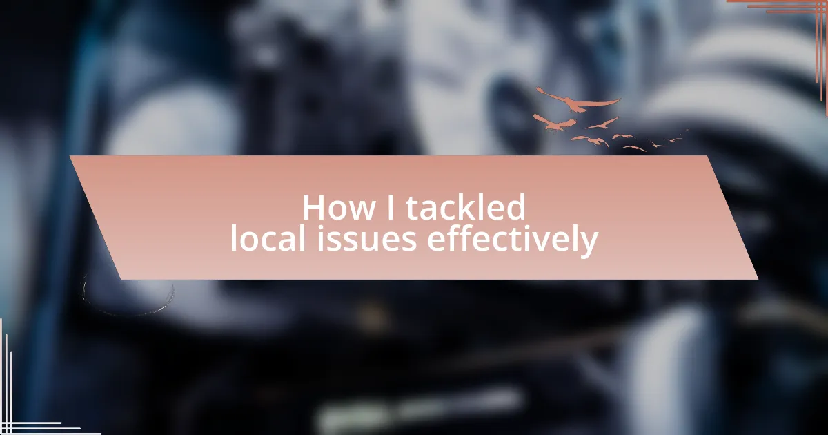 How I tackled local issues effectively