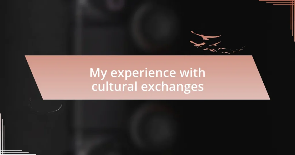 My experience with cultural exchanges