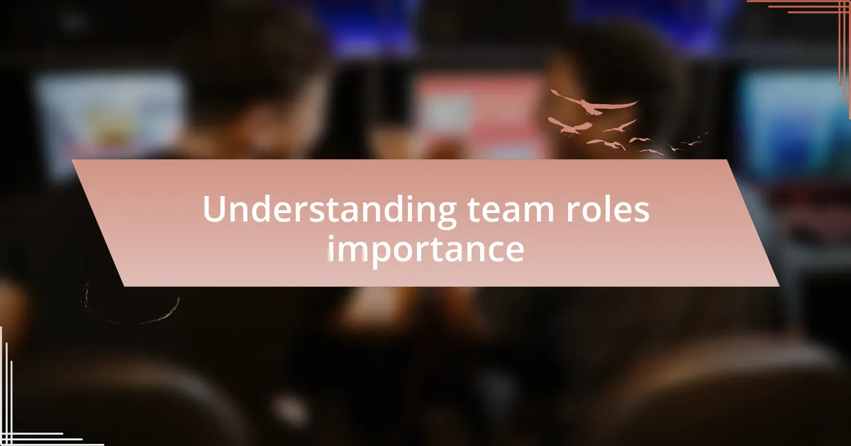 Understanding team roles importance