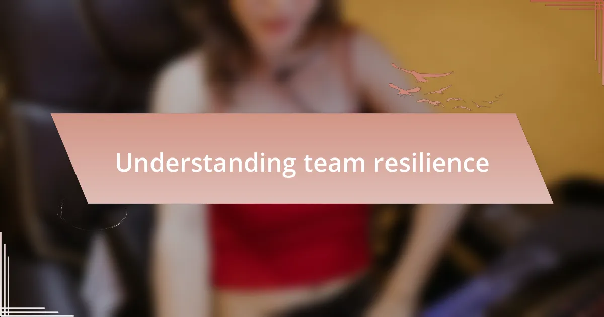 Understanding team resilience